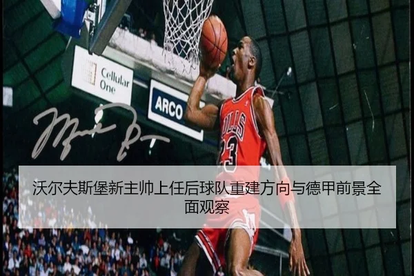 沃尔夫斯堡新主帅上任后球队重建方向与德甲前景全面观察
